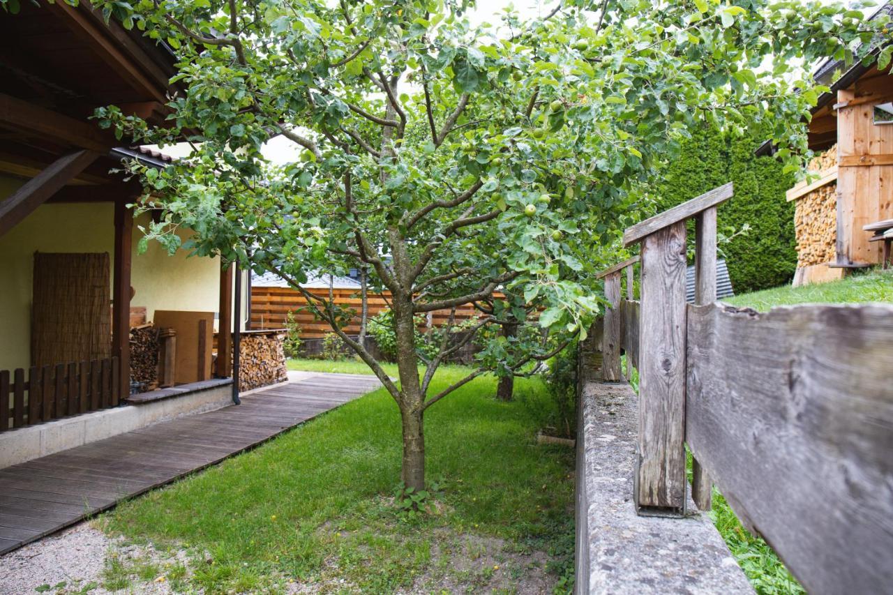 Ferienhaus Schiestl Wiesing Ngoại thất bức ảnh